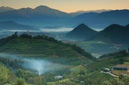 清朝茶叶的生产提高和发展