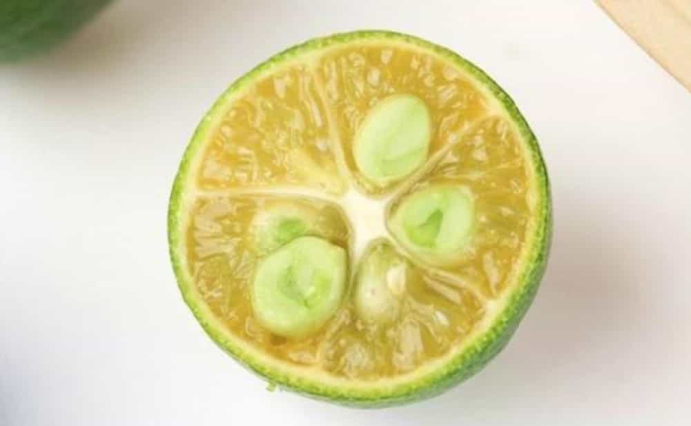 小青金桔的功效与作用