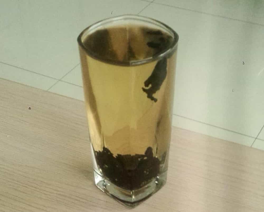 长期喝黑乌龙茶会怎样