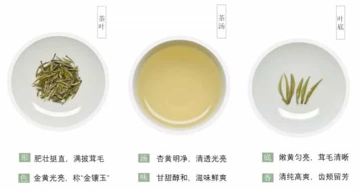 君山银针简介，君山银针茶叶特点与产地介绍