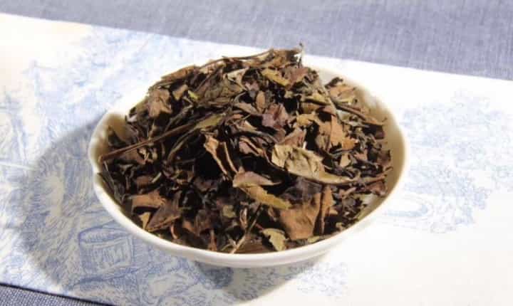 什么是老白茶的“饱满度”？