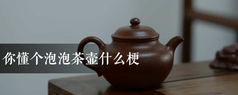 你懂个泡泡茶壶什么梗