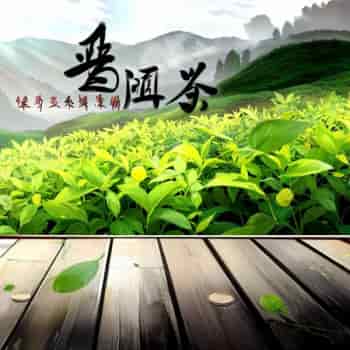 西双版纳普洱茶：云南原生，醇香回甘，传承千年