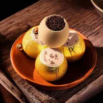 普洱茶介绍大全：品味中国传统文化，探寻普洱茶的独特魅力