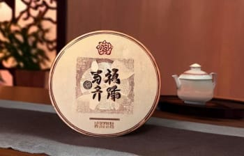 天天喝熟普洱茶的好处：增强免疫力、促进消化、降低血脂