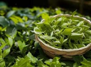 2014年龙润茶普洱茶价格一览 2014年龙润茶普洱茶价格一览