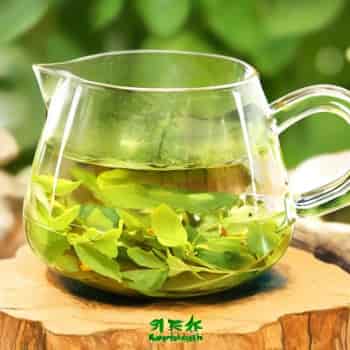 红袍绿茶：品味西岳奇峰的滋味