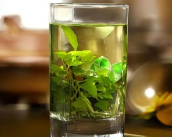绿野仙踪：品味鹤峰翠泉绿茶的自然韵味