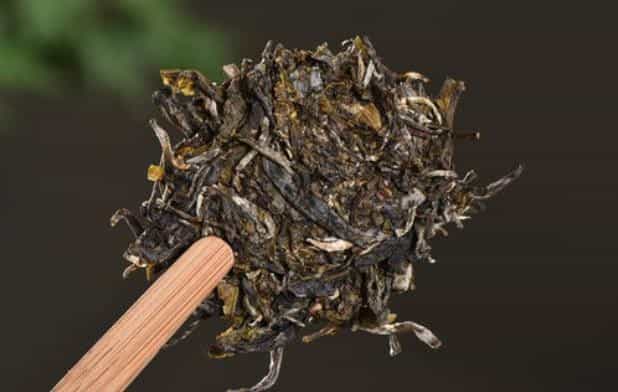 普洱茶为什么有樟香气味，真相源于樟树林