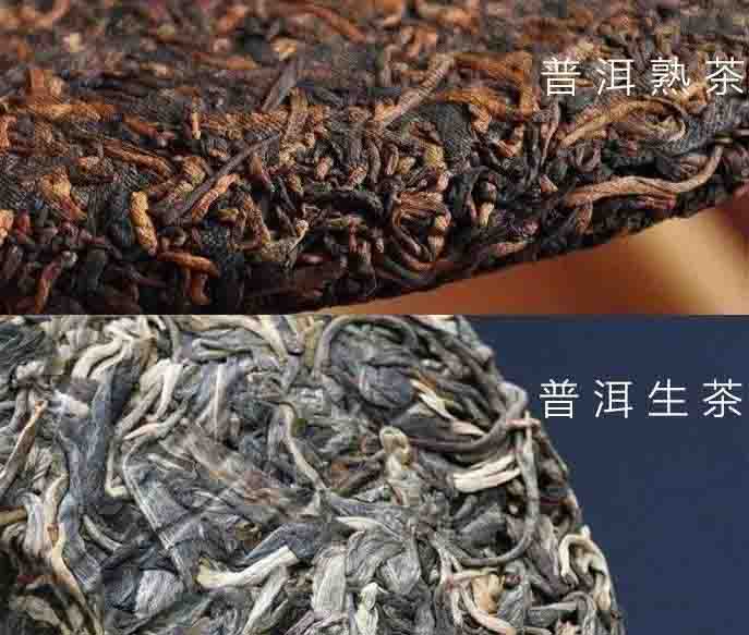普洱茶是白茶还是红茶