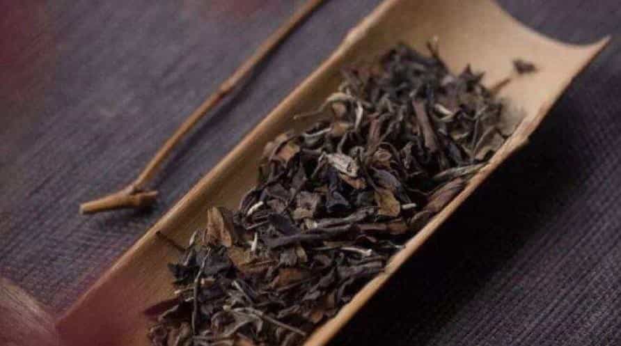 白茶分类品种