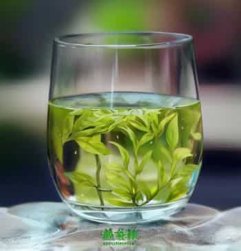 浮梁绿茶：品味江南丝路之旅