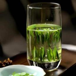 宜昌绿茶：品味湖北人的清香优雅