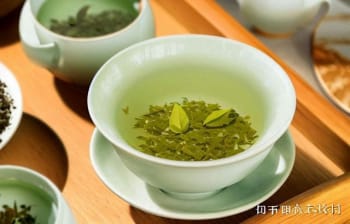 探寻宝格丽绿茶背后的秘密