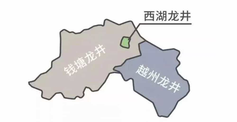 西湖龙井属于什么茶类