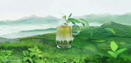 绿茶的香气和味道是如何形成的？