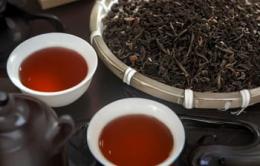 中国红茶大师郑建新：传承百年工艺，让世界品味正宗红茶