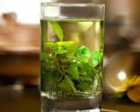 绿茶文化盘点：茶艺、茶文化及饮茶知识