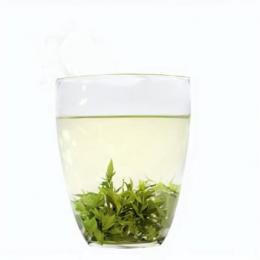 如何正确泡一杯美味的绿茶？