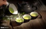 探秘暴雪绿茶：从选茶到冲泡，一杯好茶的制作全过程