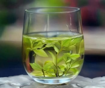 感冒能喝绿茶吗？