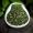 探寻花茶的茶叶基底:红茶还是绿茶?
